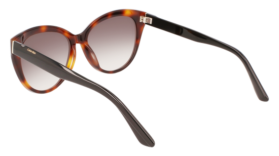 CALVIN KLEIN Sunglasses CK22520S 236 57