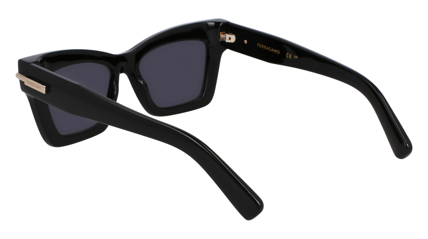 FERRAGAMO Sunglasses SF2031S 1 52