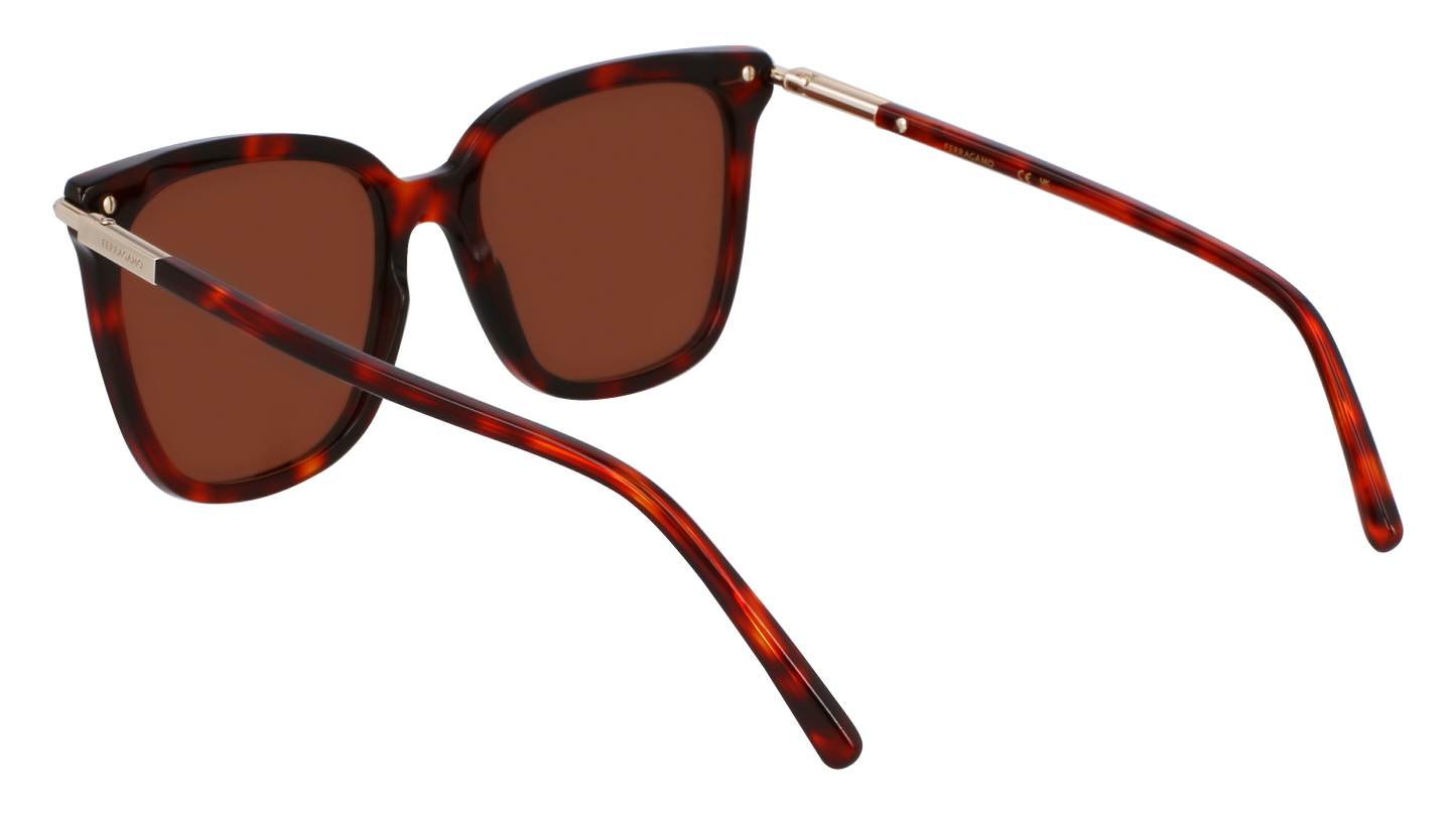 FERRAGAMO Sunglasses SF2037S 640 56