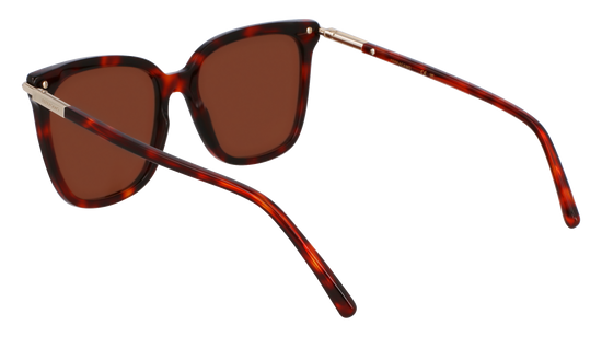 FERRAGAMO Sunglasses SF2037S 640 56