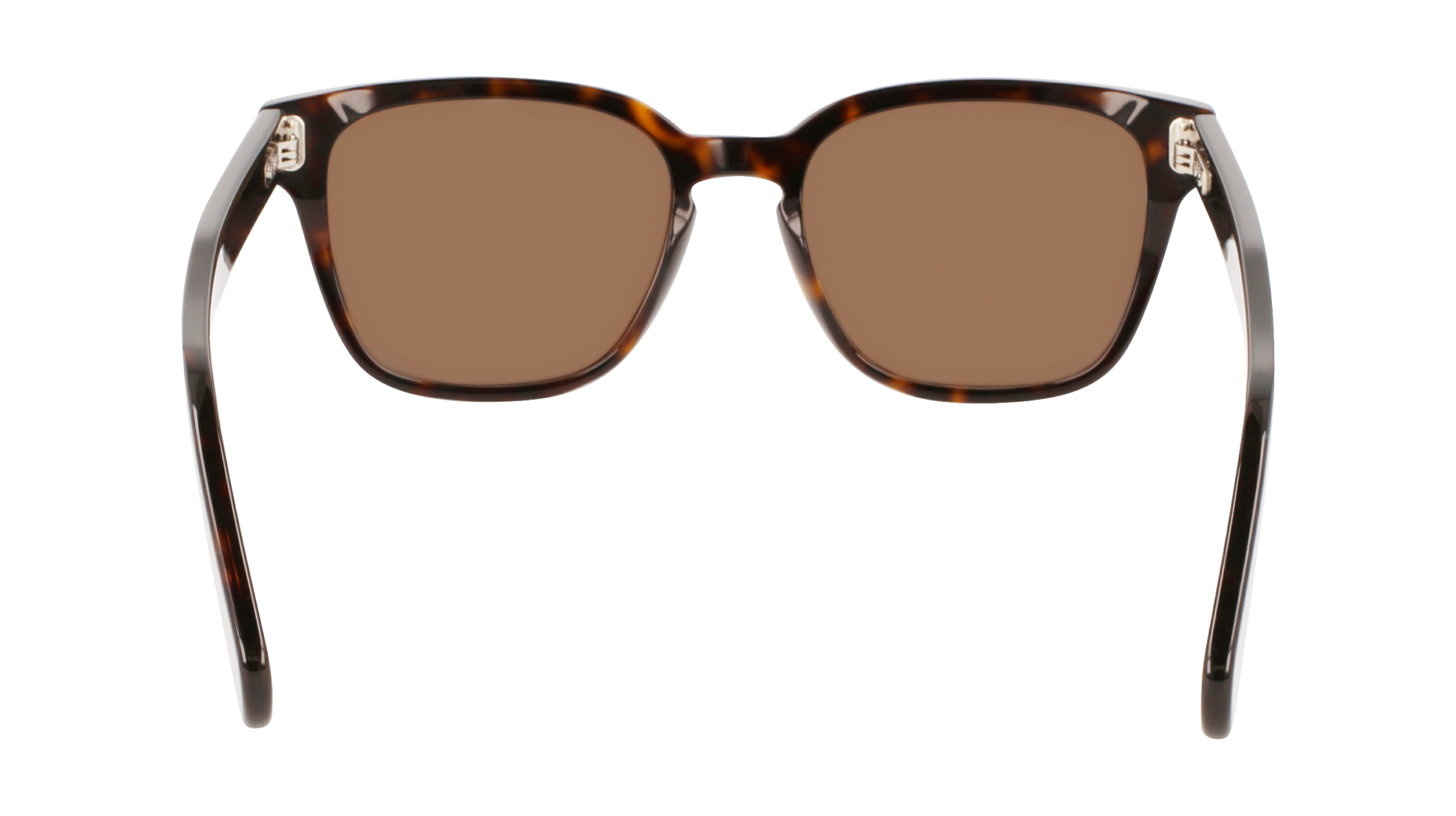 FERRAGAMO Sunglasses SF1040S 240 55