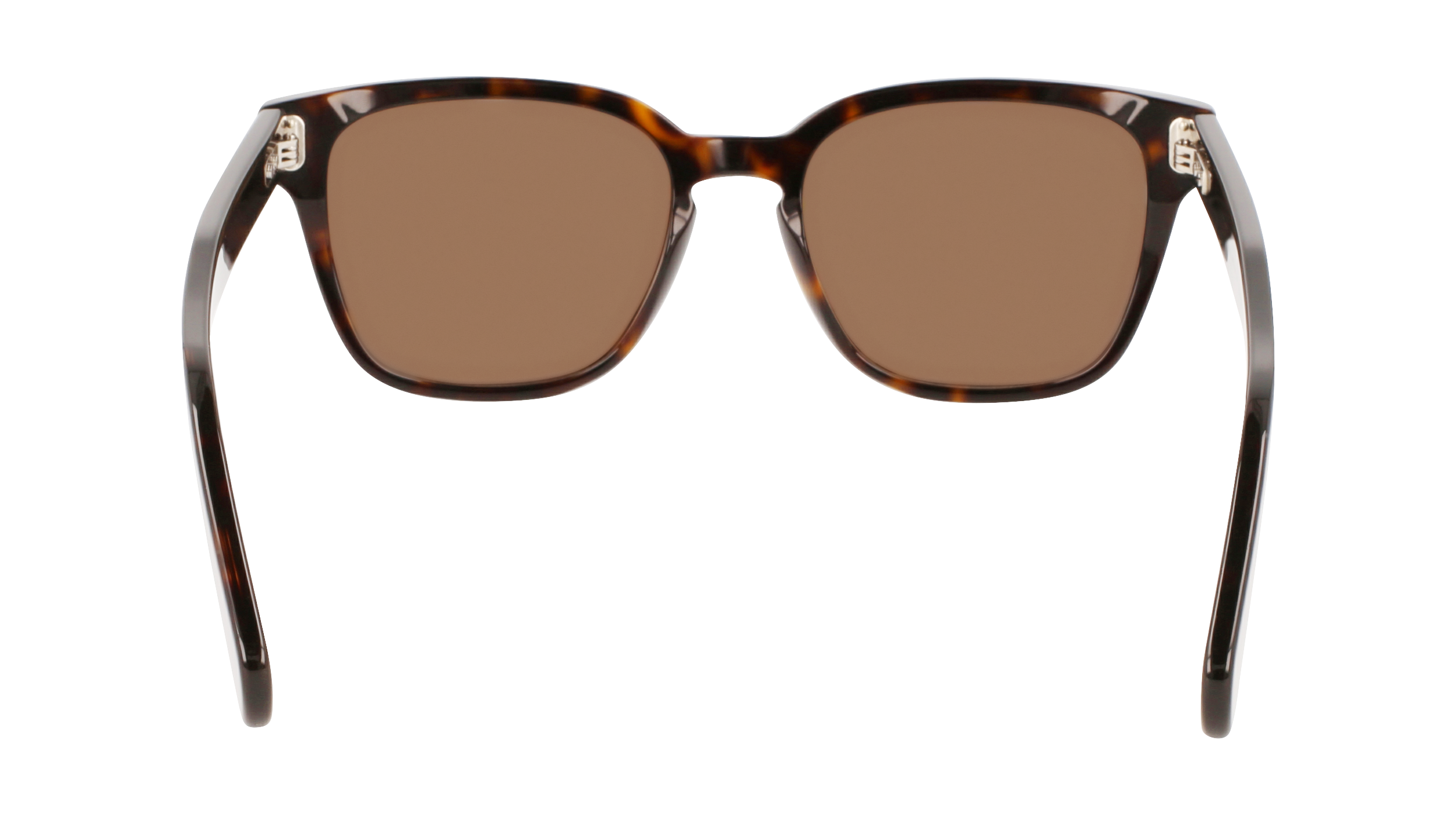 FERRAGAMO Sunglasses SF1040S 240 55