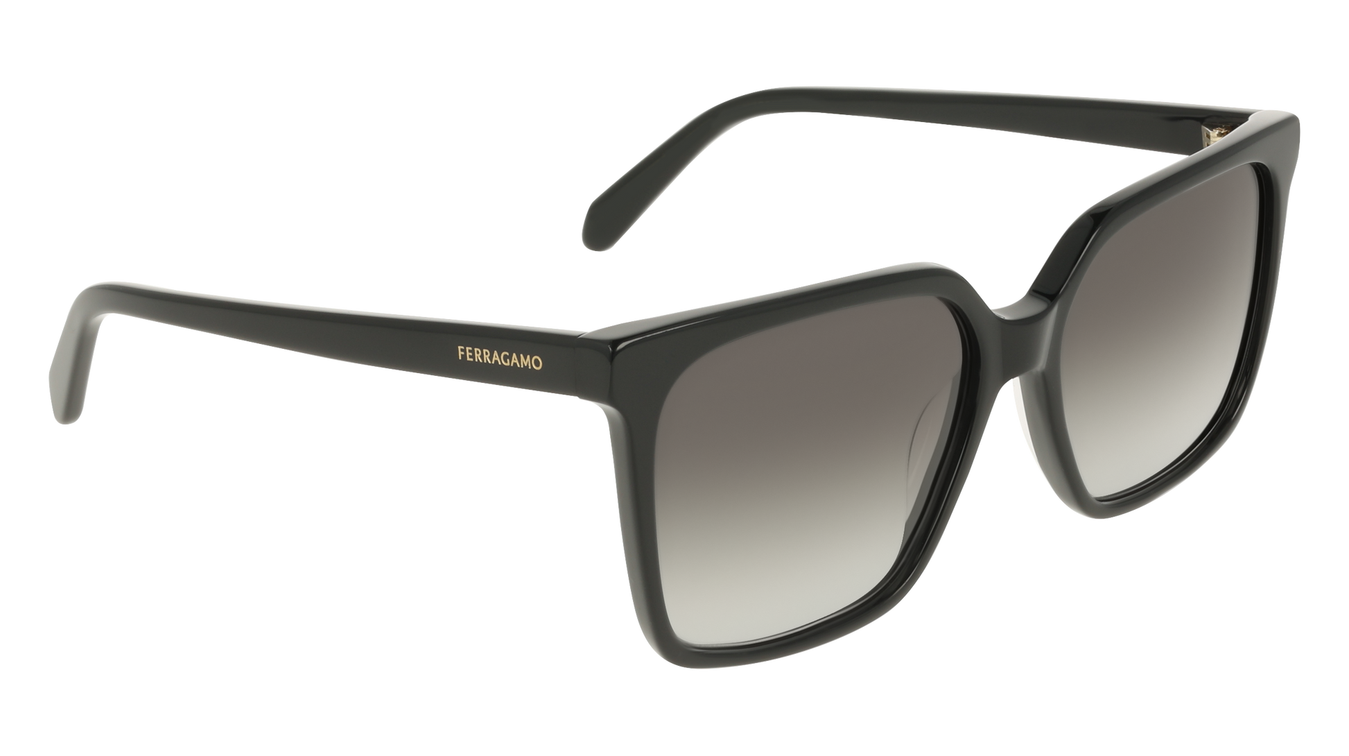 Ferragamo SF2102S 1
