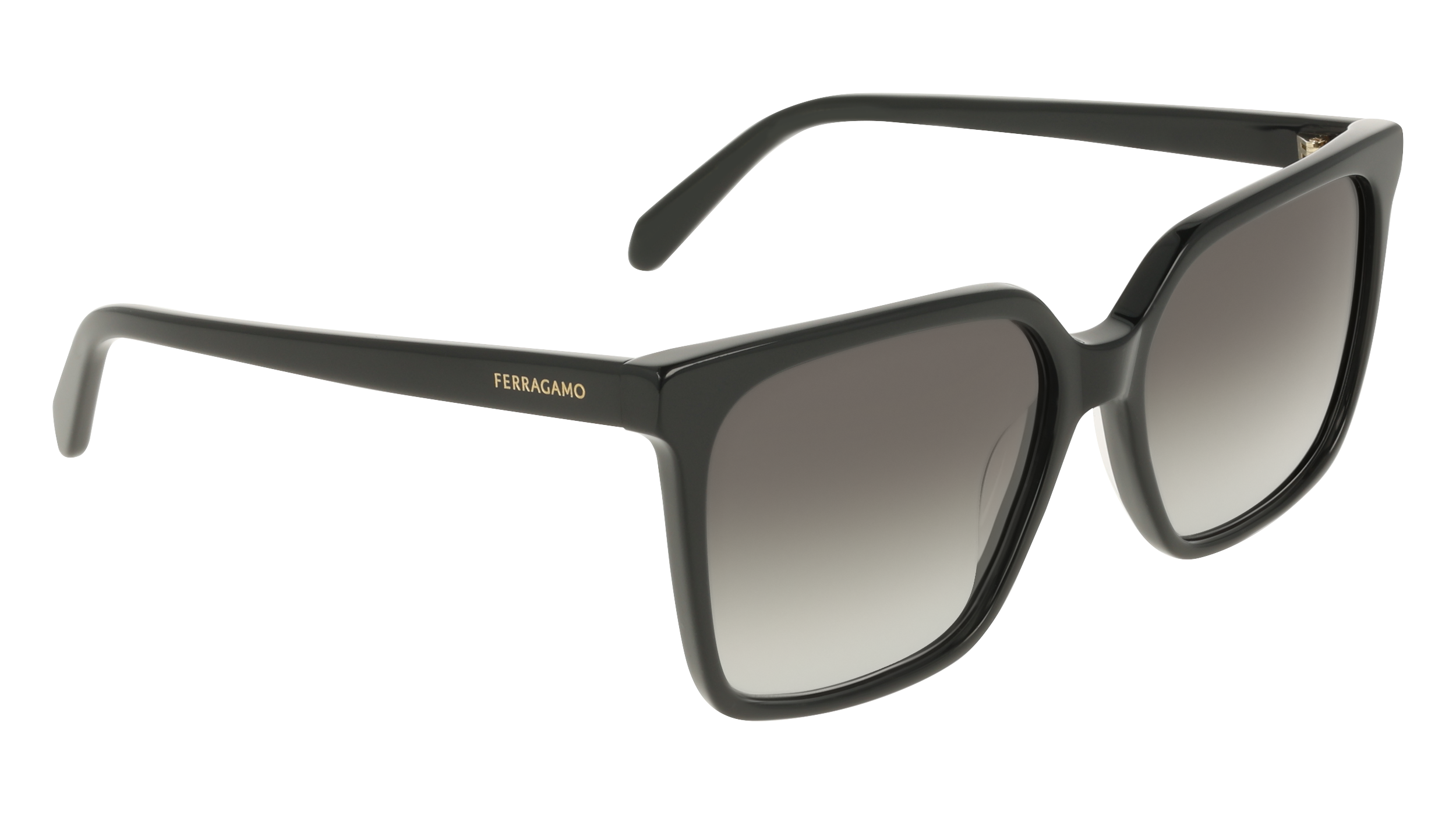 Ferragamo SF2102S 1