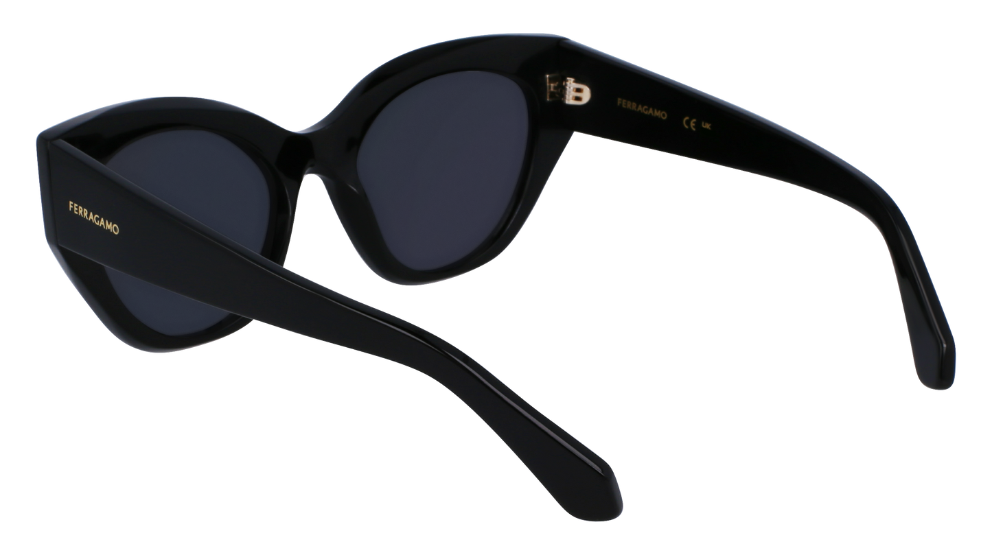 FERRAGAMO Sunglasses SF1107S 1 55