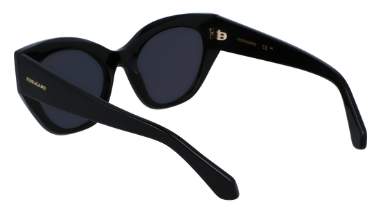 FERRAGAMO Sunglasses SF1107S 1 55