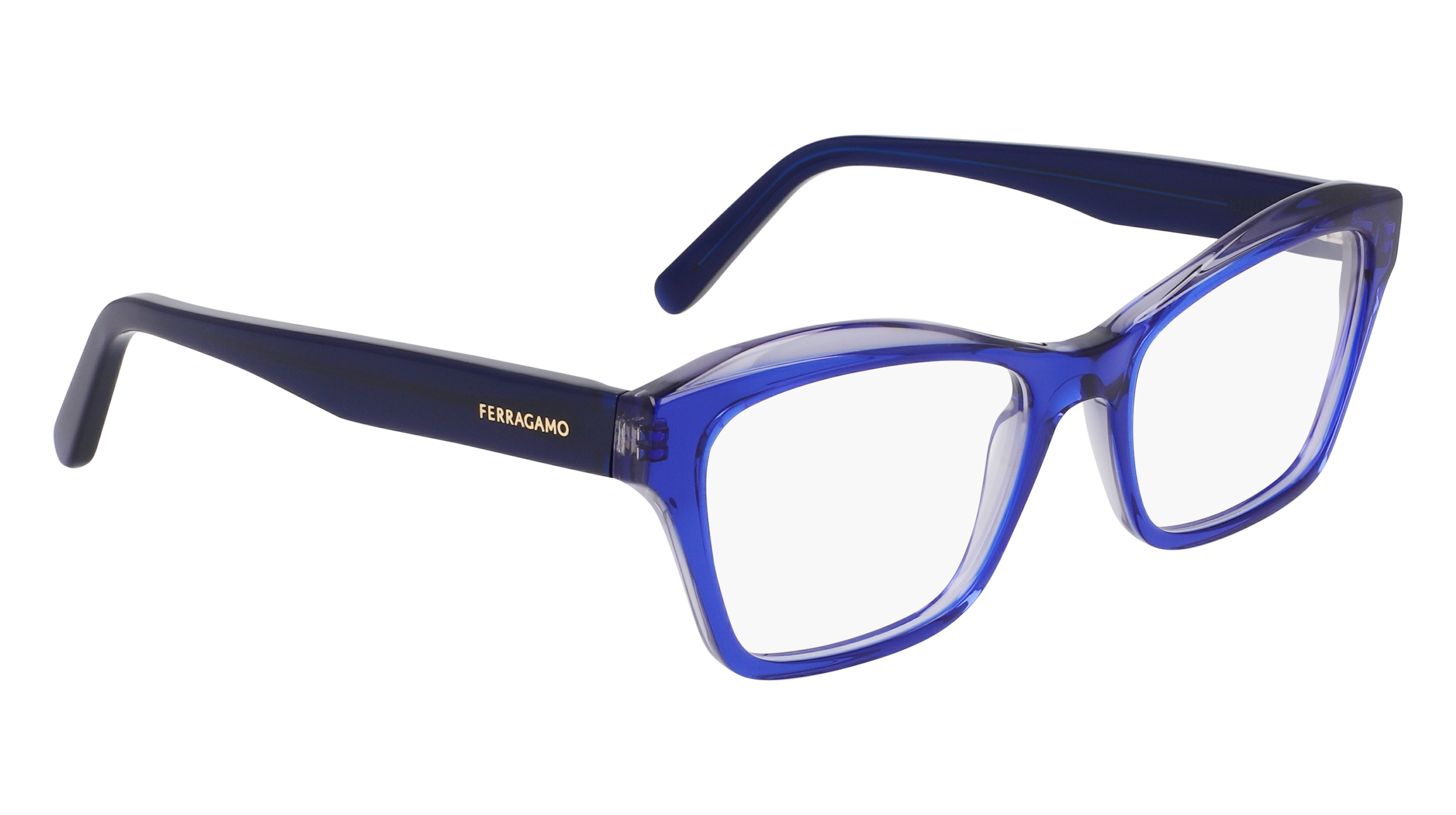 FERRAGAMO Eyeglasses SF2951N 435 53