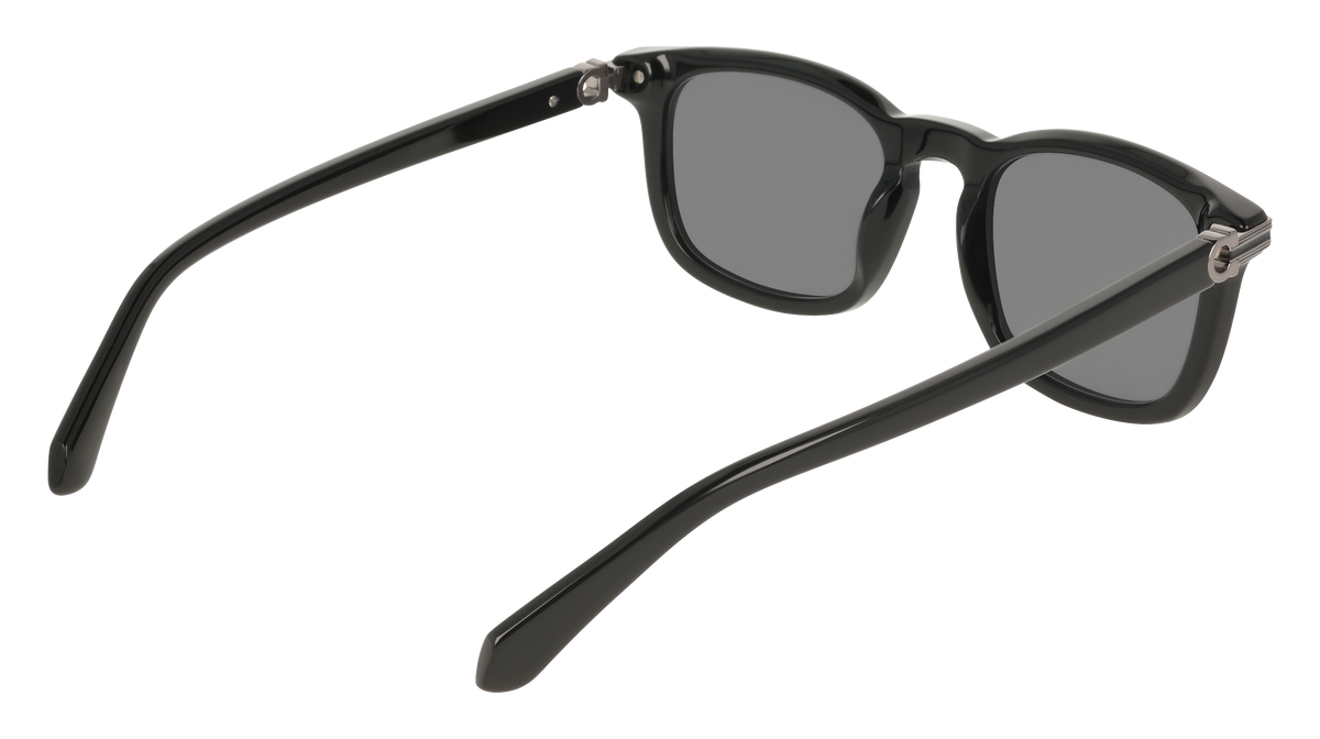 Ferragamo SF2120S 1
