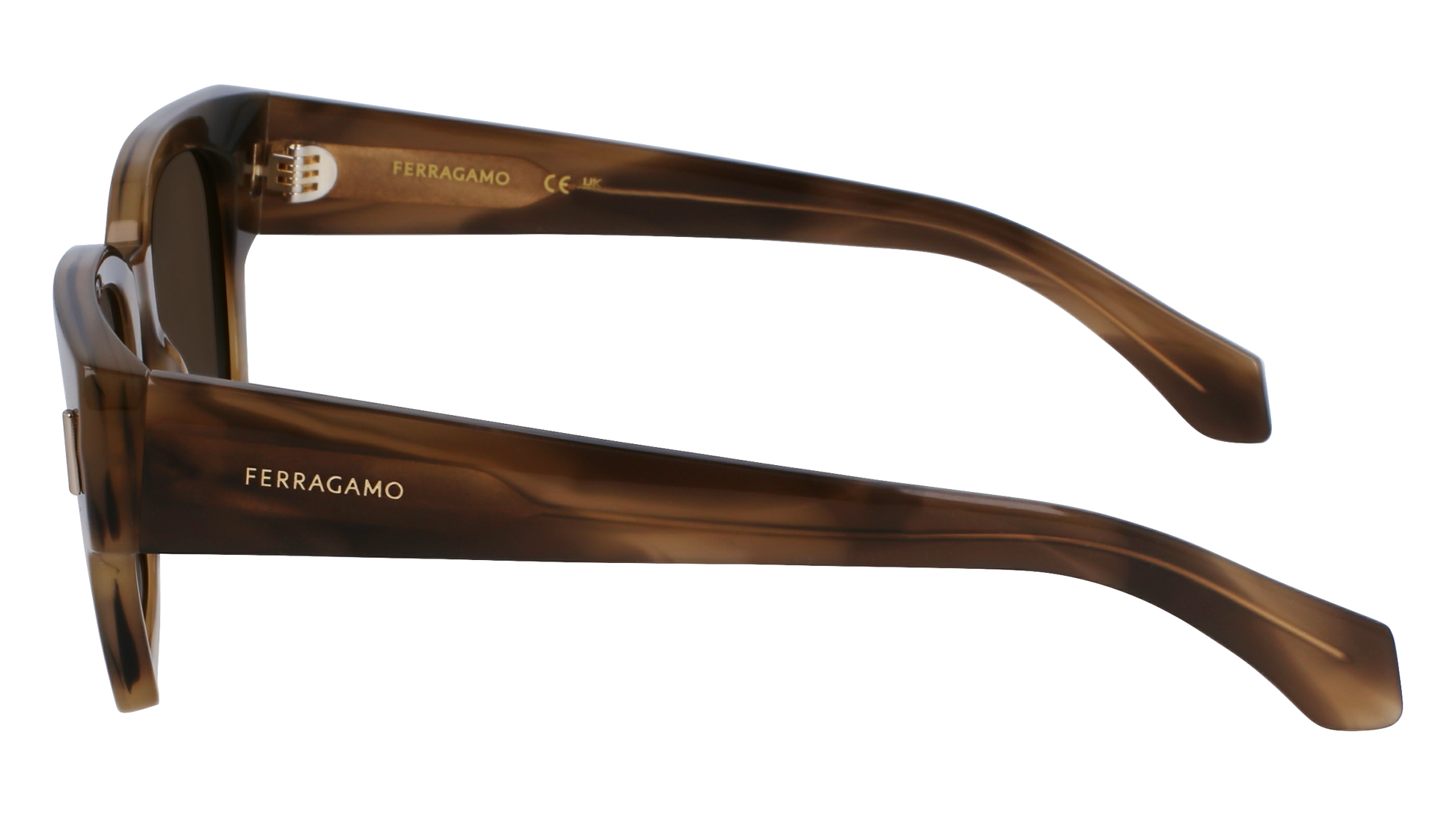 FERRAGAMO Sunglasses SF2010S 319 52