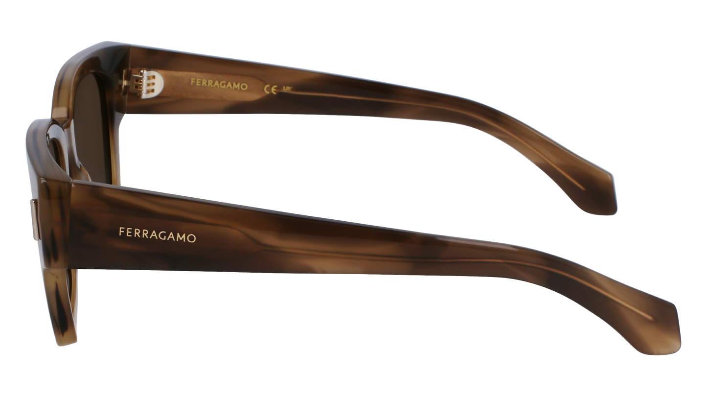 FERRAGAMO Sunglasses SF2010S 319 52