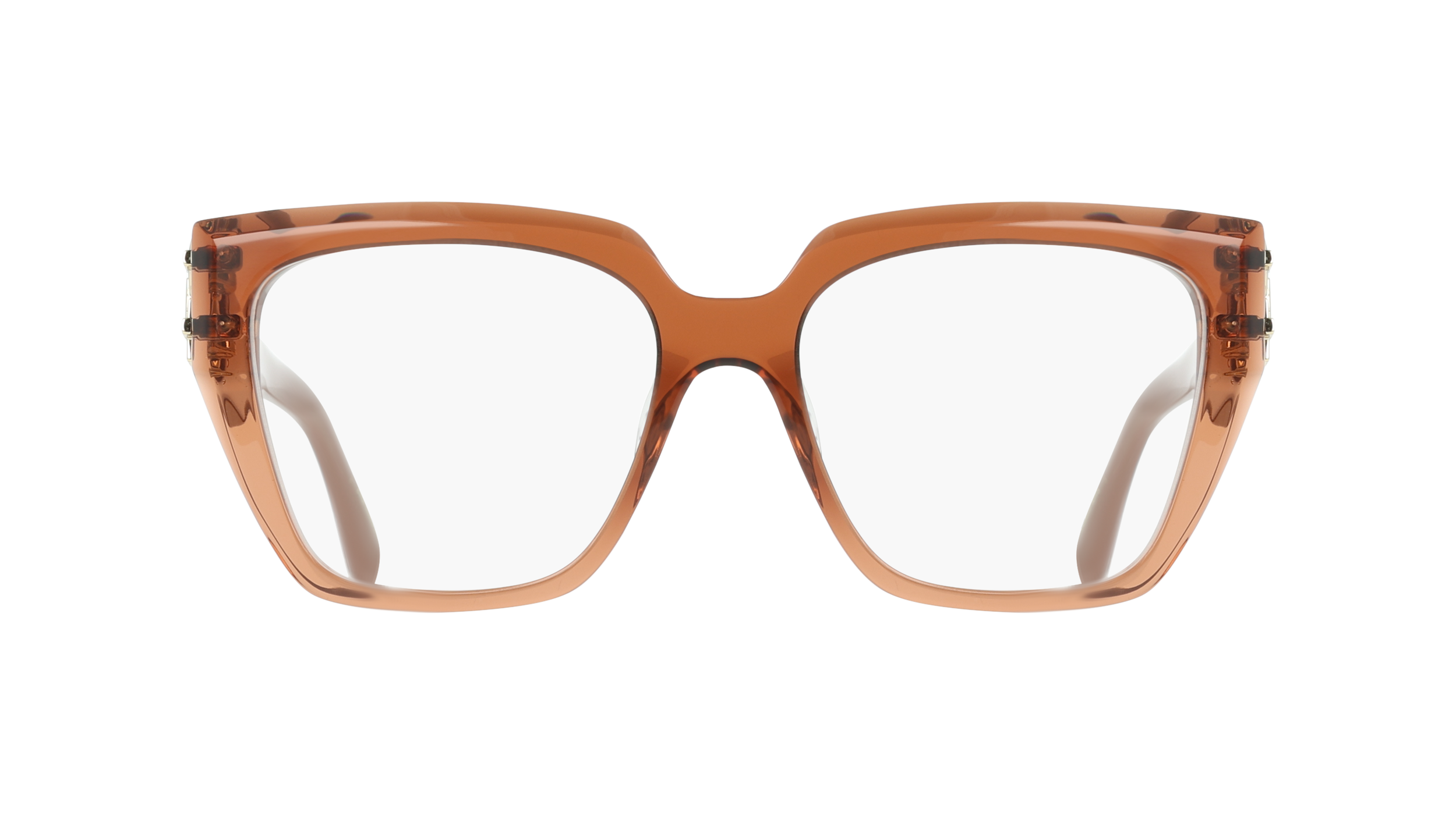 Ferragamo SF3041E 261