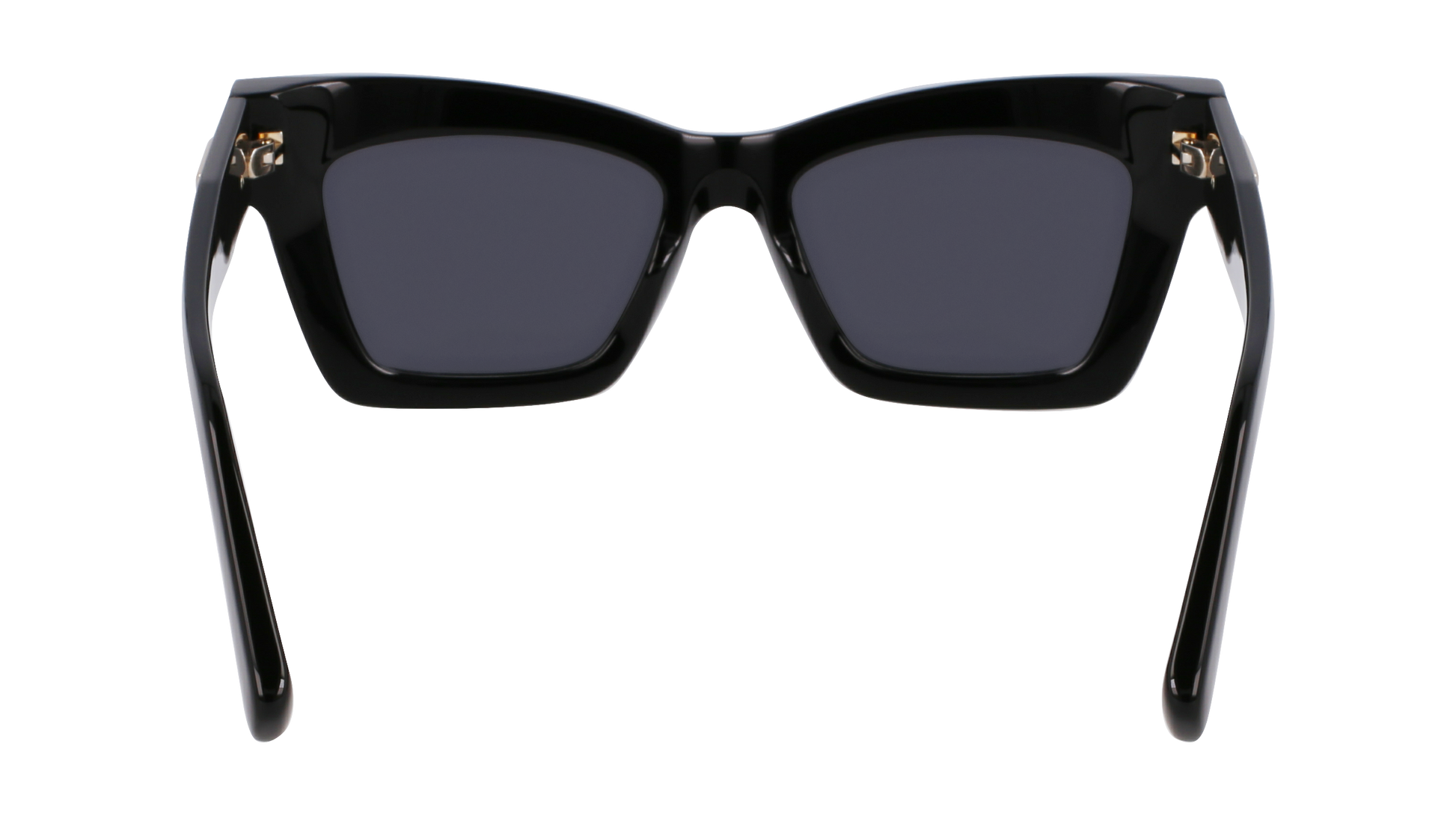 FERRAGAMO Sunglasses SF2031S 1 52