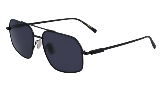 FERRAGAMO Sunglasses SF313S 2 58