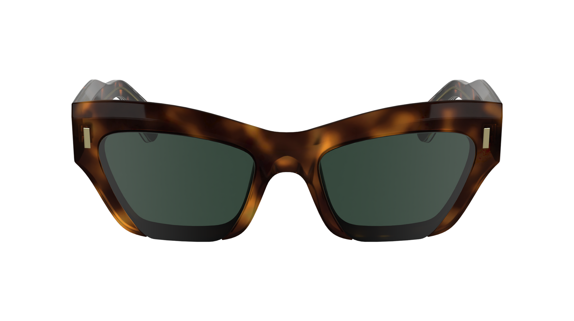 CALVIN KLEIN Sunglasses CK24531S 240 53