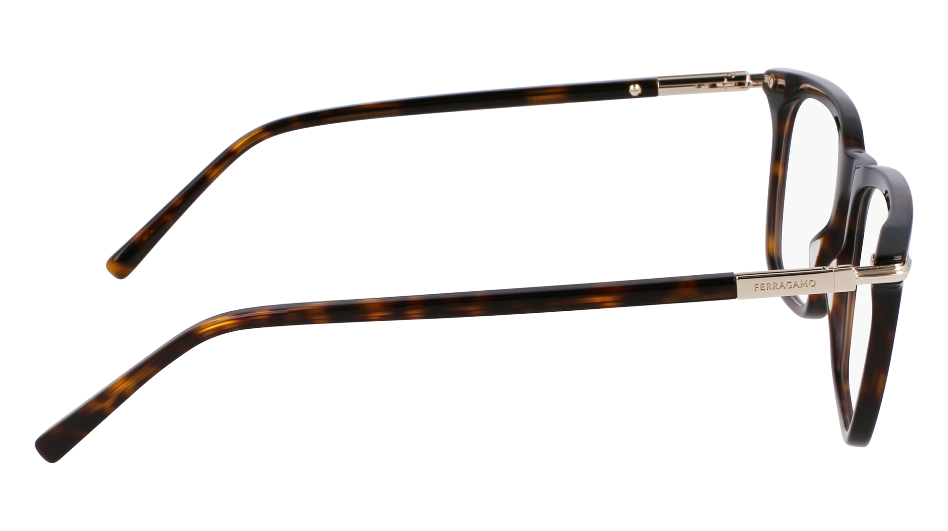 FERRAGAMO Eyeglasses SF3007 242 56