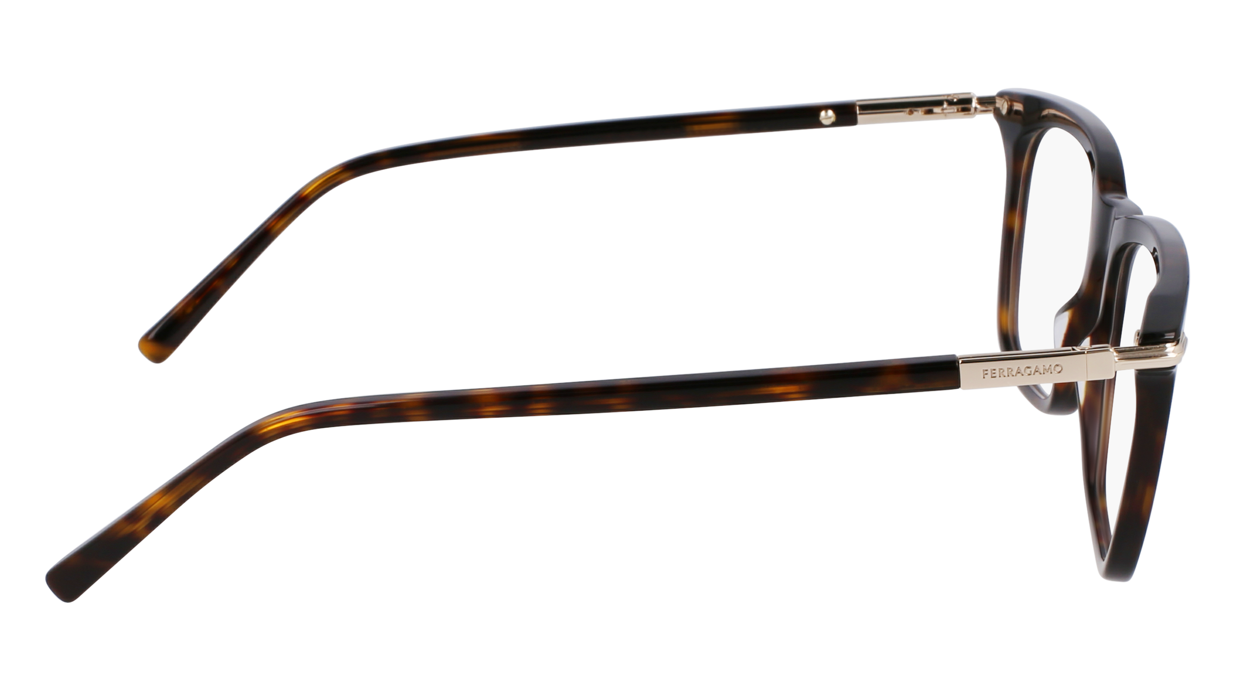 FERRAGAMO Eyeglasses SF3007 242 56