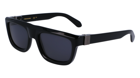 FERRAGAMO Sunglasses SF2009S 1 56