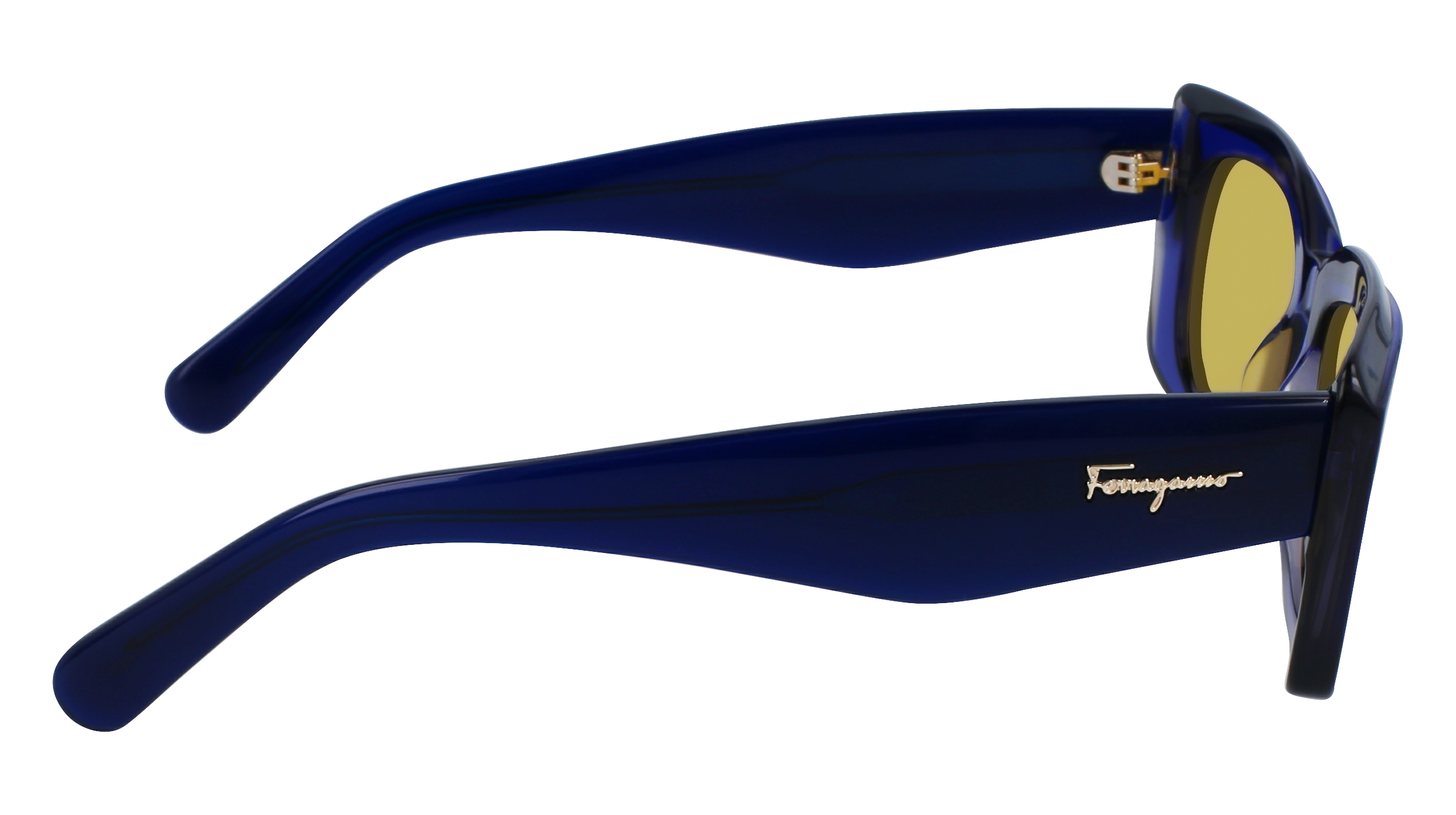 FERRAGAMO Sunglasses SF1079S 435 54