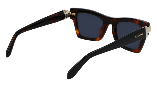 FERRAGAMO Sunglasses SF2013S 240 52