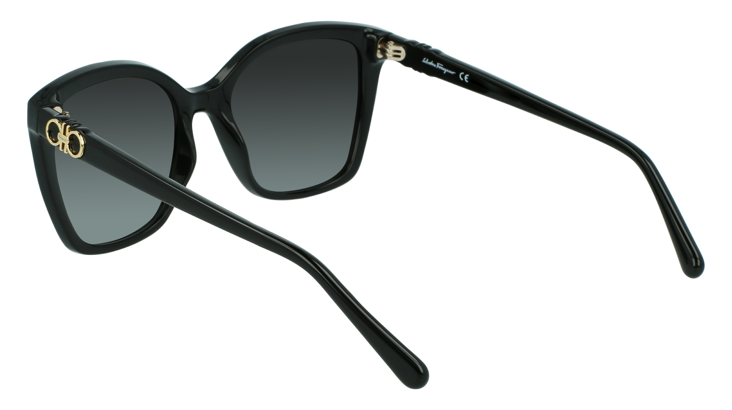 FERRAGAMO Sunglasses SF1026S 1 54