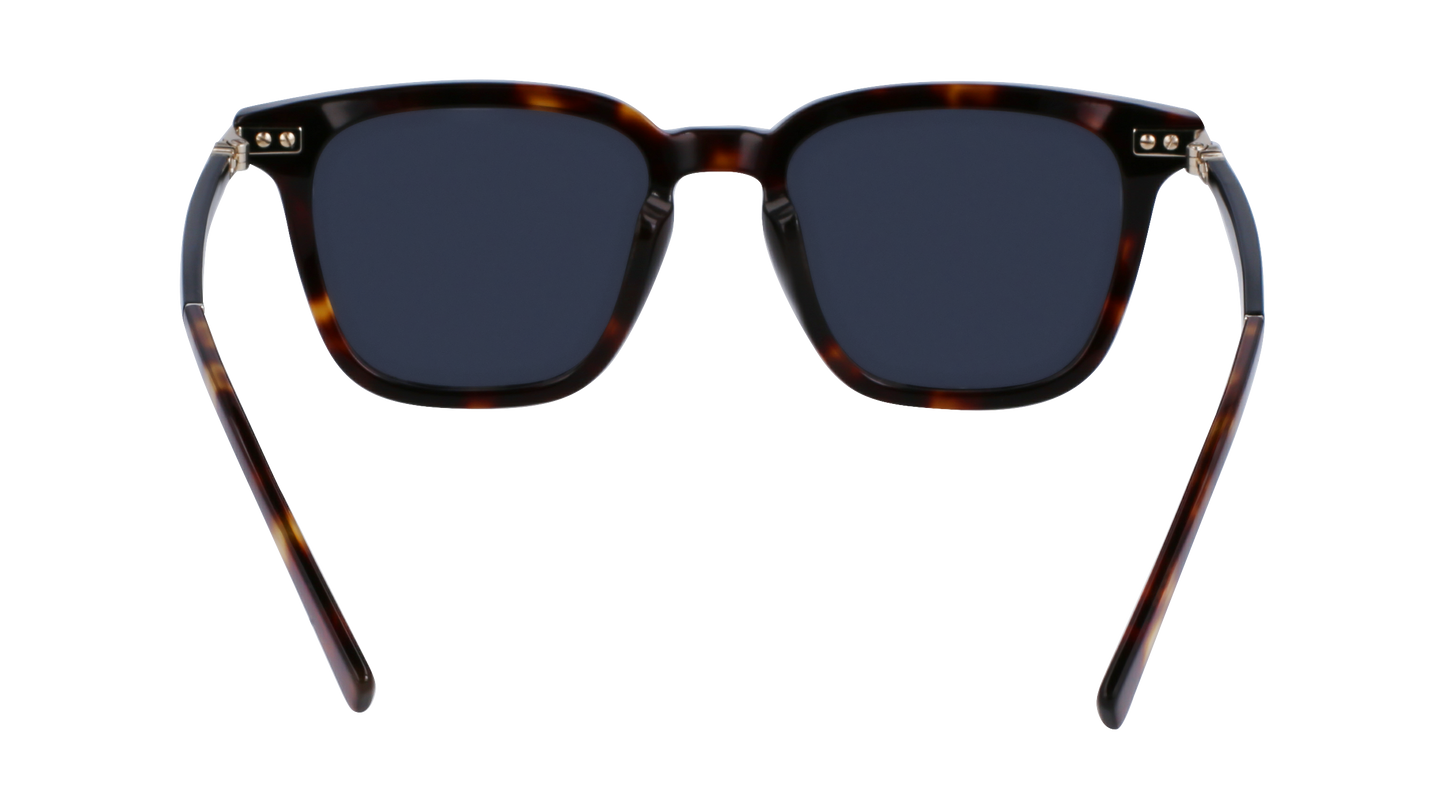 FERRAGAMO Sunglasses SF1100S 242 52