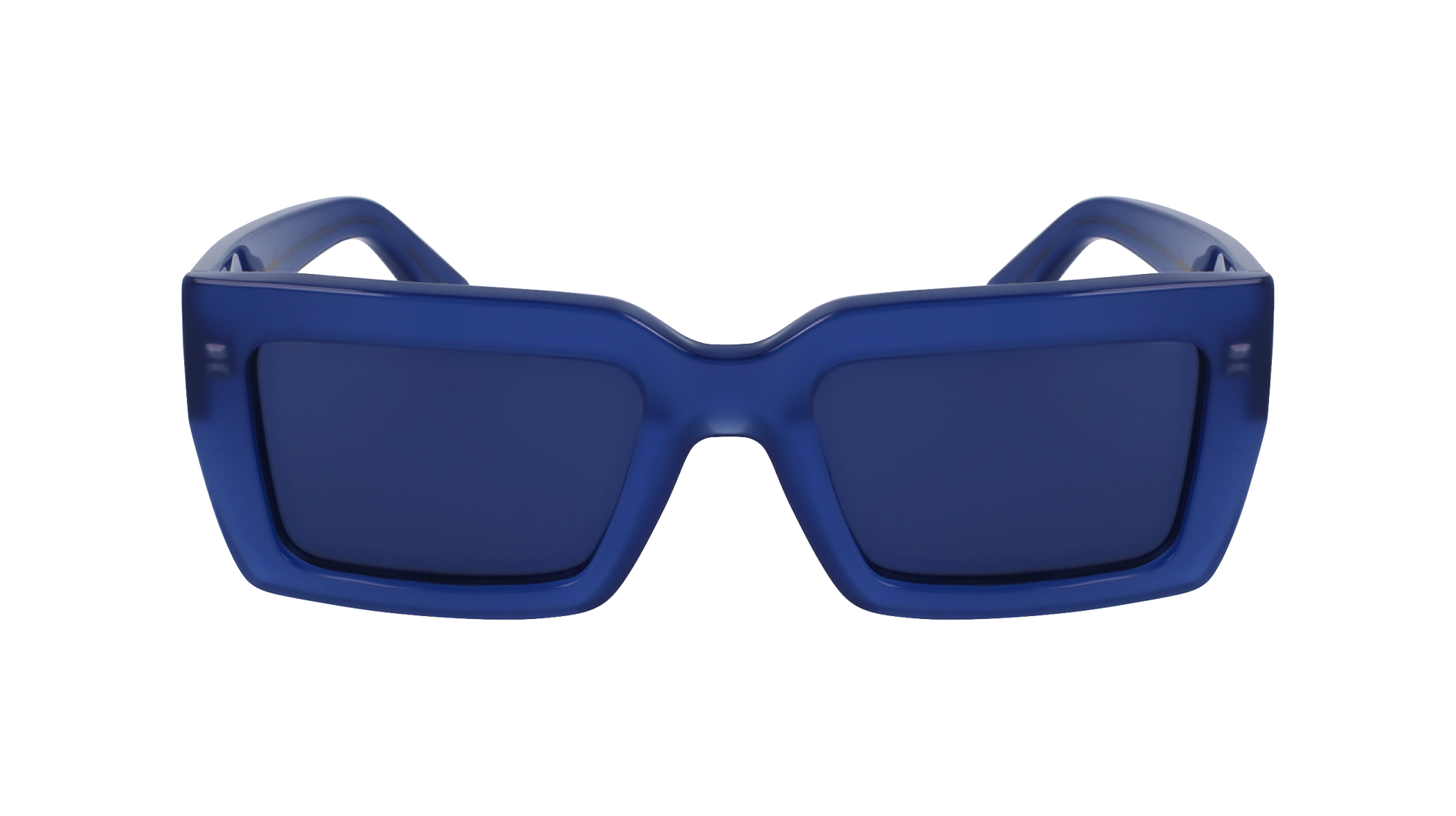 FERRAGAMO Sunglasses SF1108S 423 54