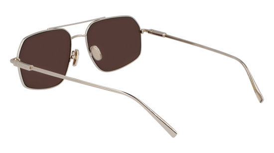 FERRAGAMO Sunglasses SF313S 745 58