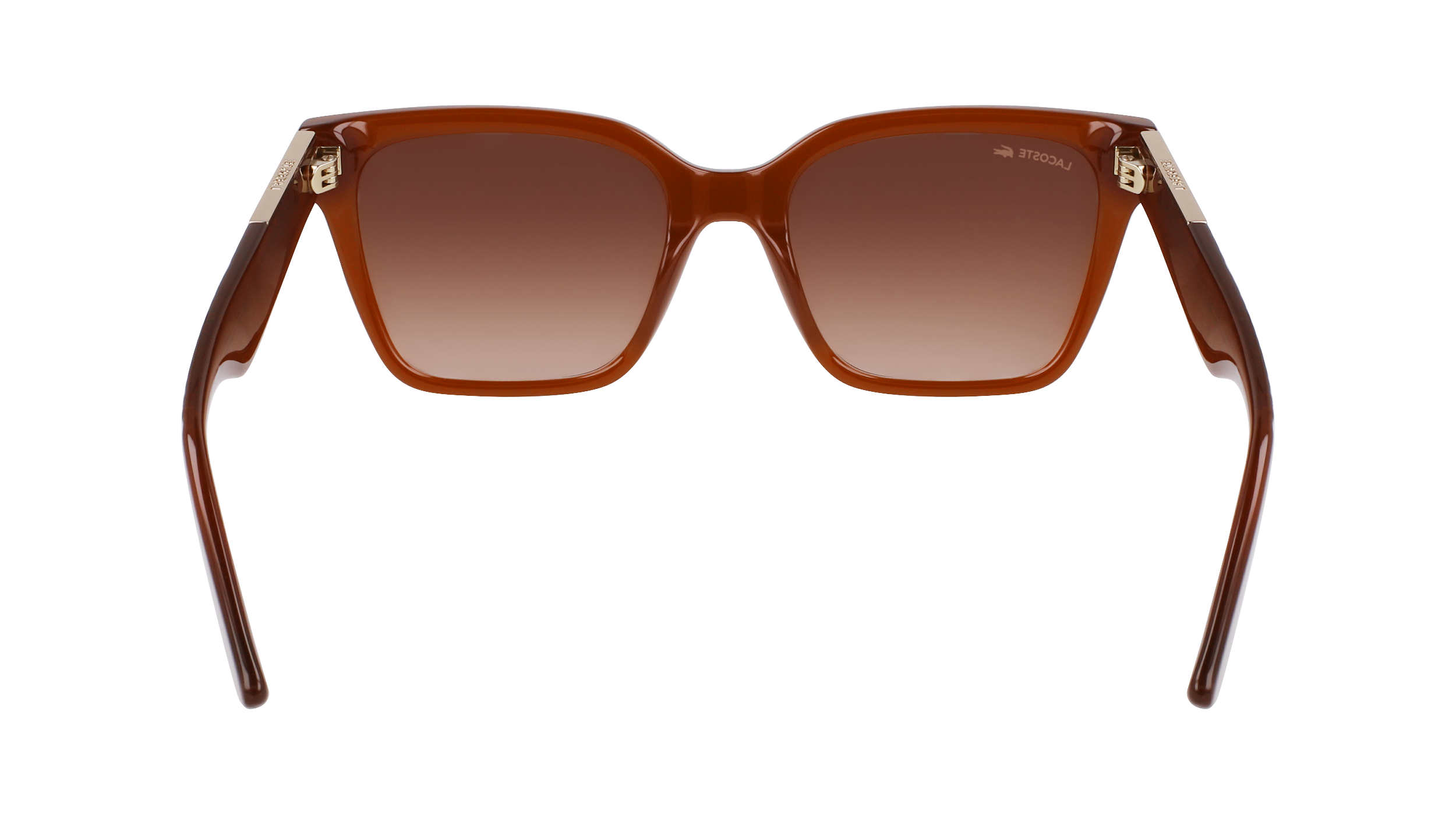 LACOSTE Sunglasses L6022S 210 54