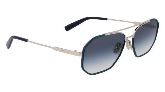 FERRAGAMO Sunglasses SF303SLN 46 60