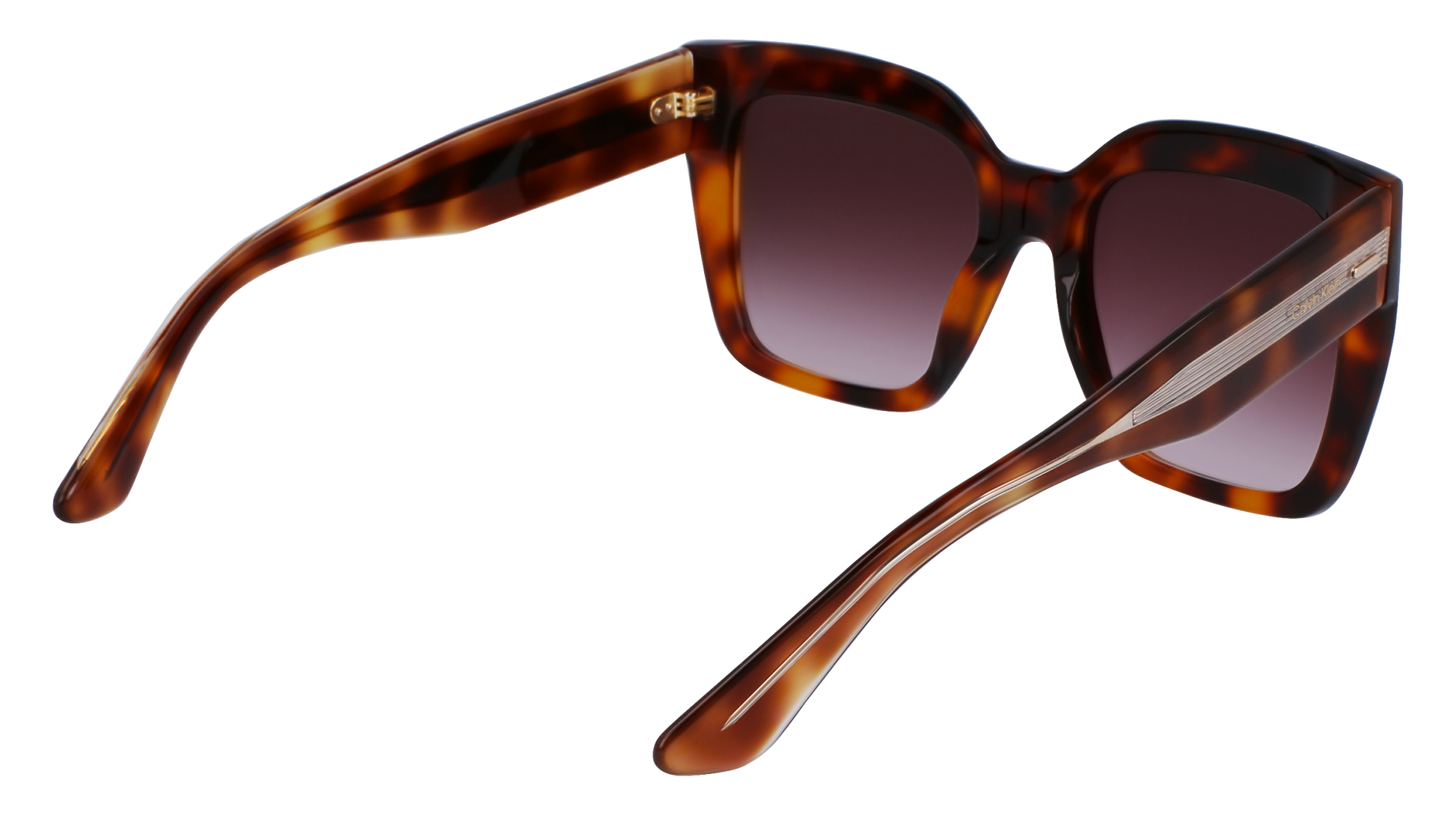 CALVIN KLEIN Sunglasses CK23508S 220 54