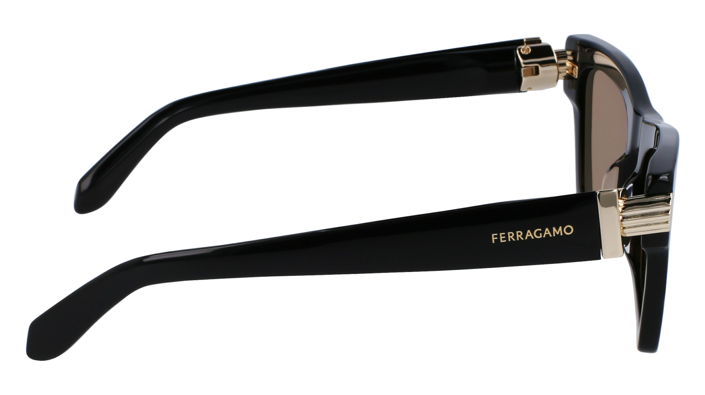 FERRAGAMO Sunglasses SF2013S 11 52