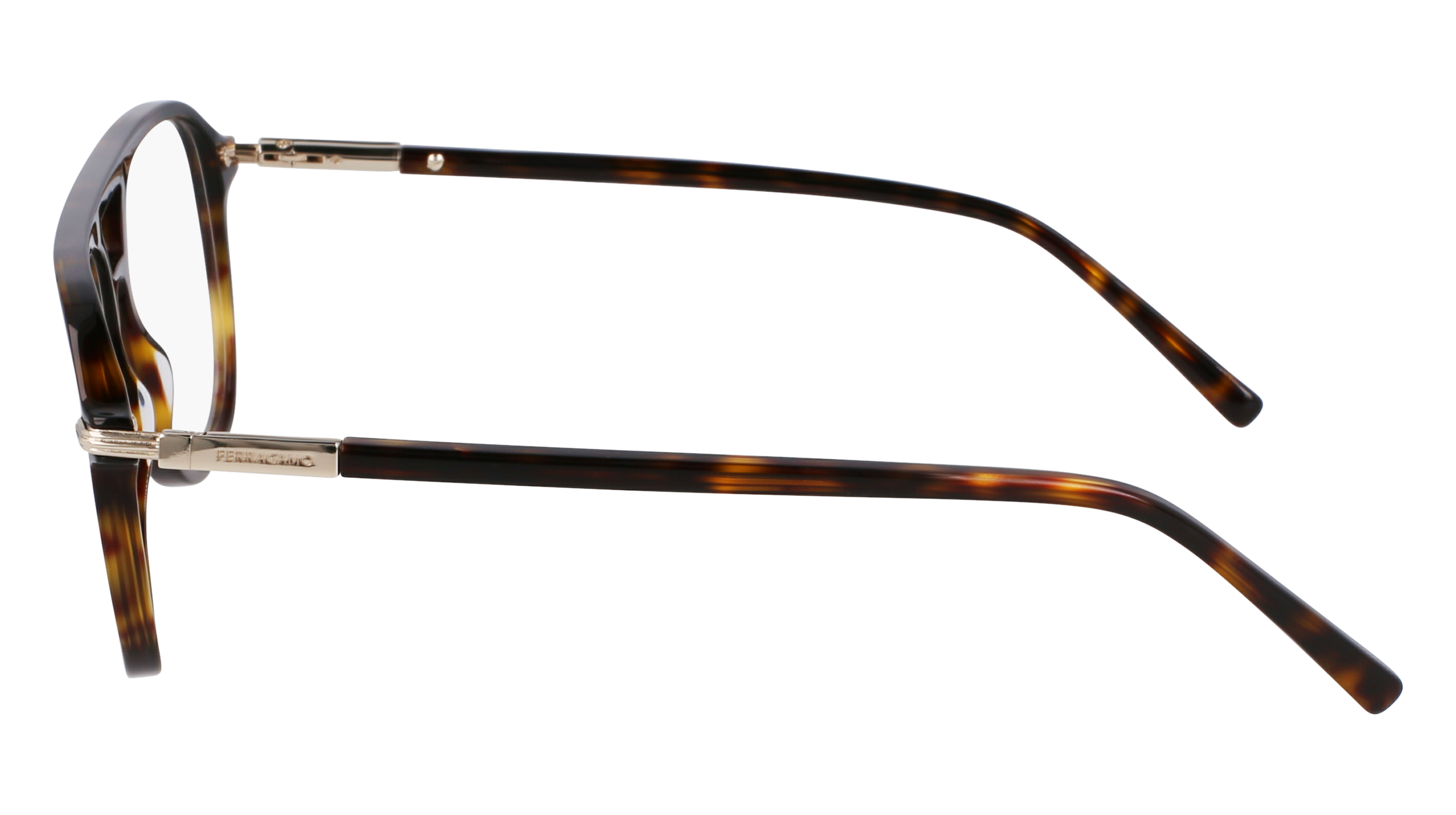 FERRAGAMO Eyeglasses SF3006 242 56