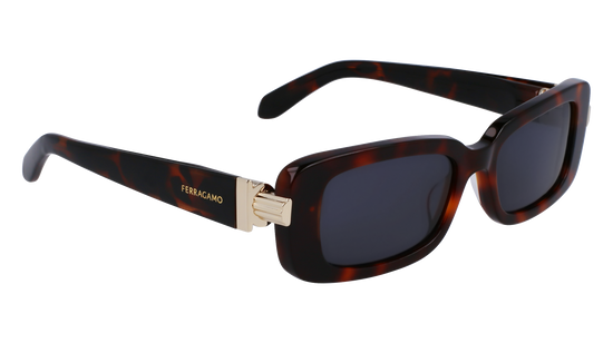 FERRAGAMO Sunglasses SF1105S 240 52