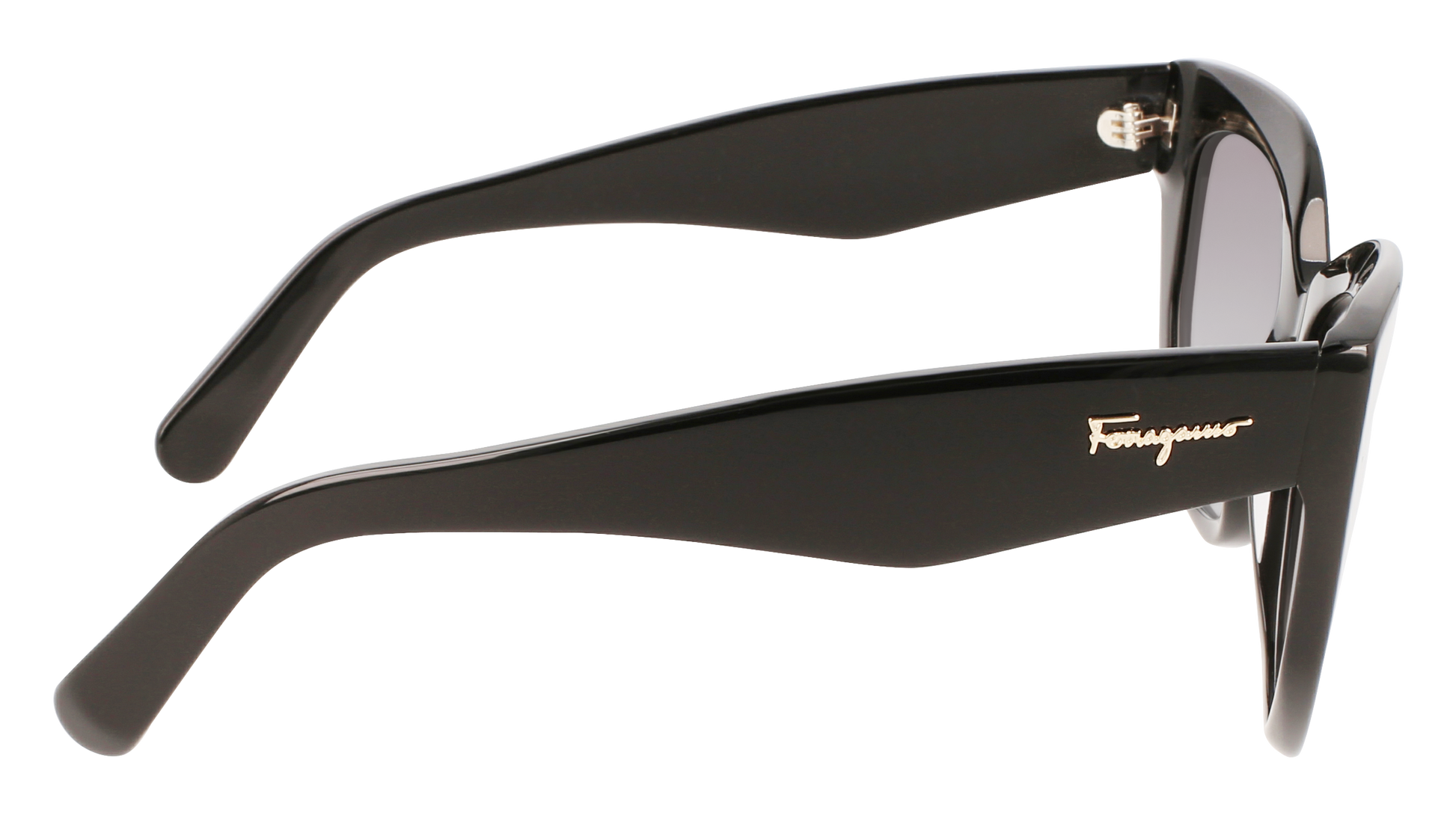 FERRAGAMO Sunglasses SF1061S 1 56