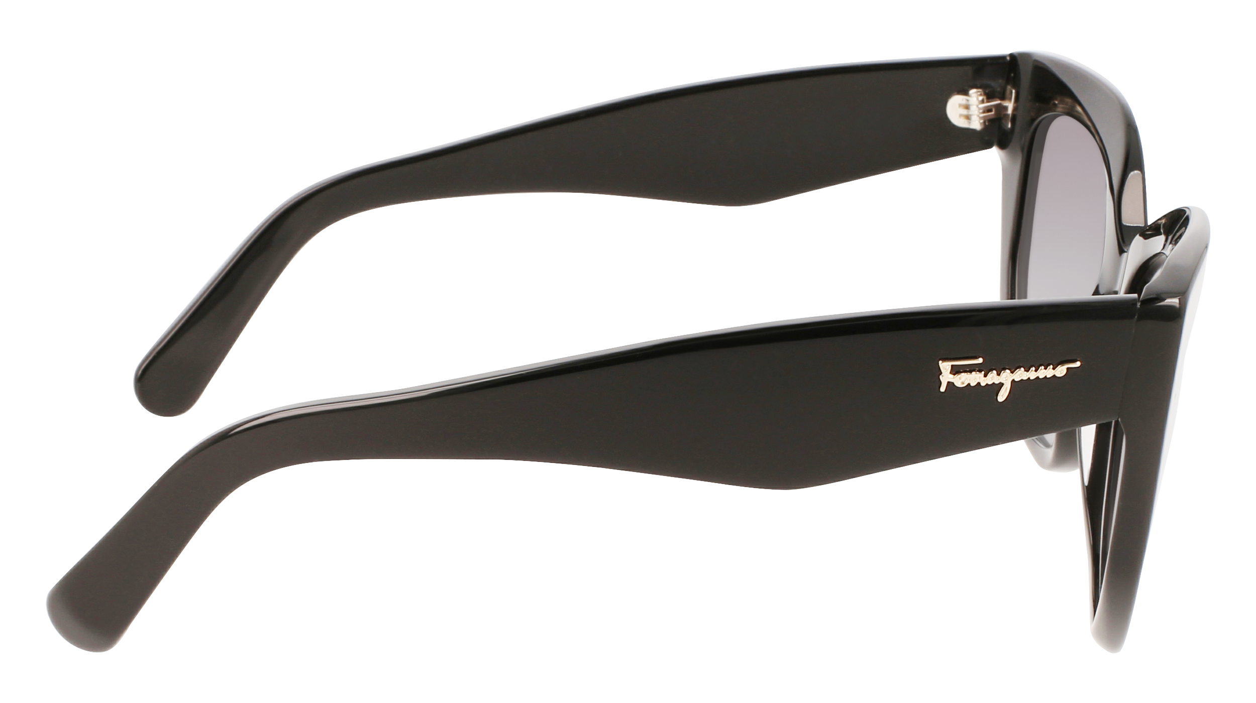 FERRAGAMO Sunglasses SF1061S 1 56