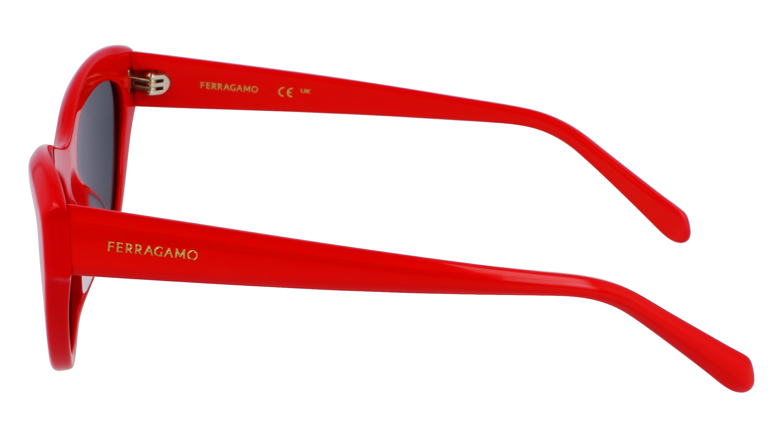 FERRAGAMO Sunglasses SF1103S 600 55