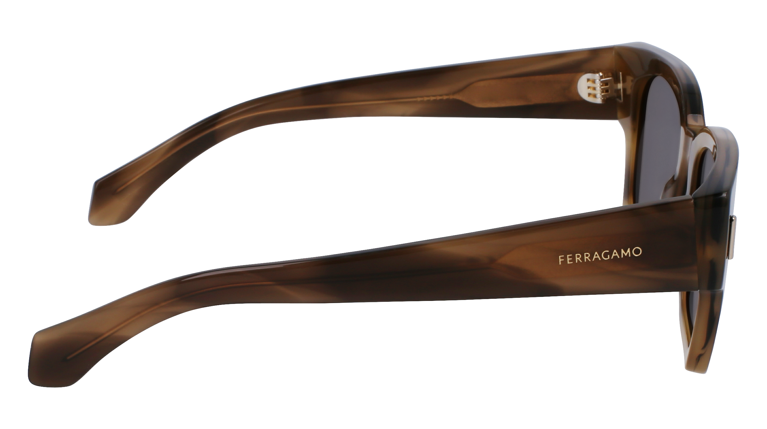 FERRAGAMO Sunglasses SF2010S 319 52