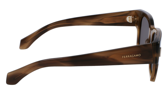 FERRAGAMO Sunglasses SF2010S 319 52