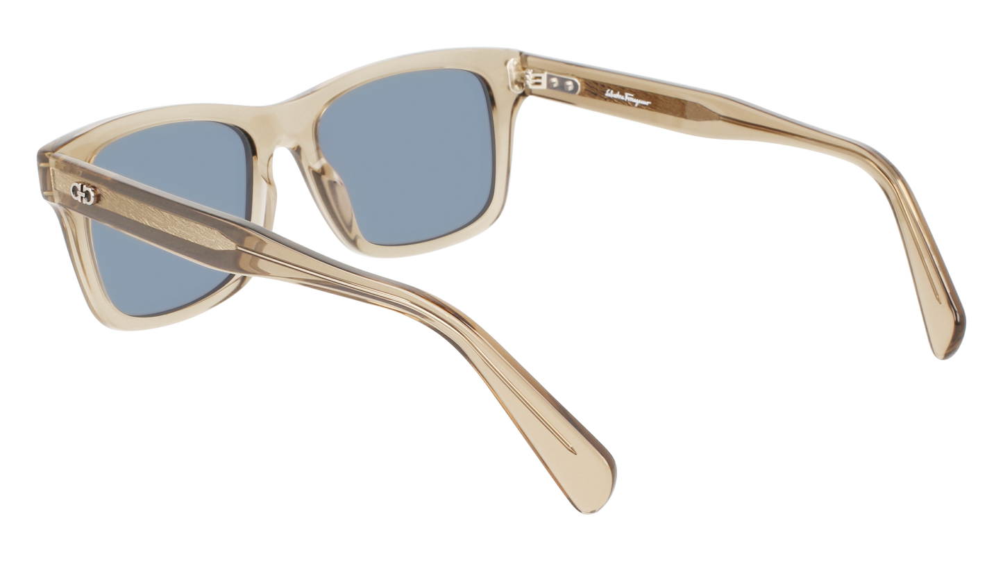 FERRAGAMO Sunglasses SF1039S 278 54