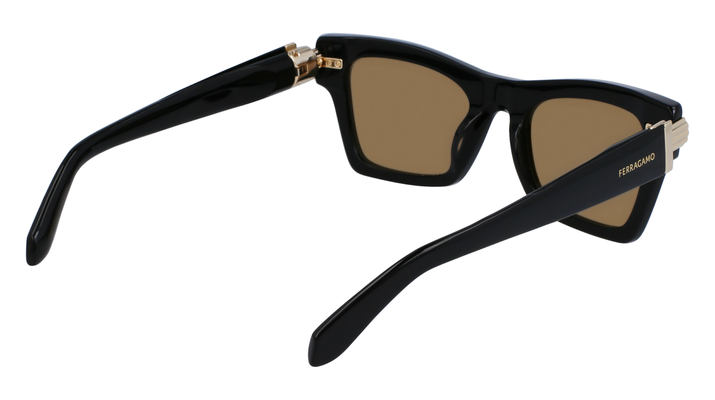 FERRAGAMO Sunglasses SF2013S 11 52