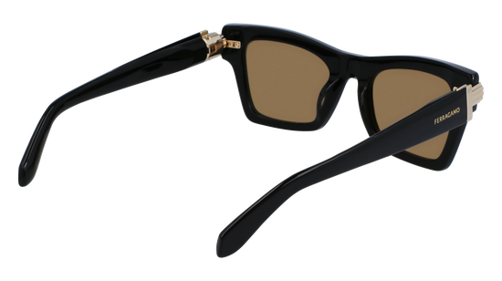 FERRAGAMO Sunglasses SF2013S 11 52