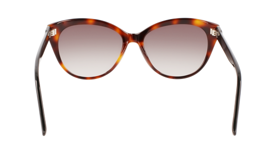 CALVIN KLEIN Sunglasses CK22520S 236 57