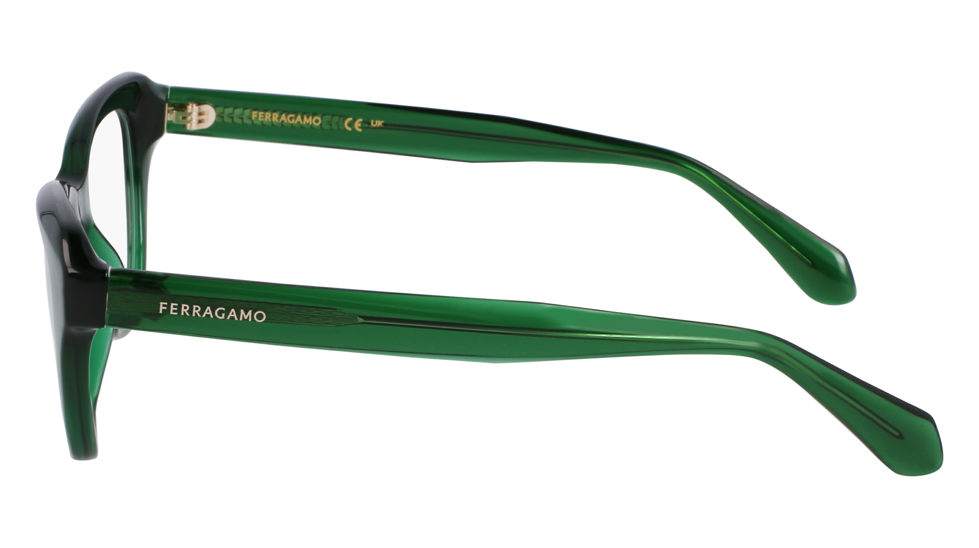 FERRAGAMO Eyeglasses SF2989E 317 51