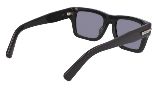 FERRAGAMO Sunglasses SF2033S 19 53