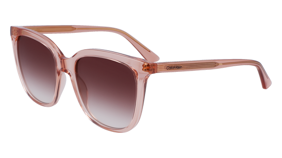 CALVIN KLEIN Sunglasses CK23506S 601 53