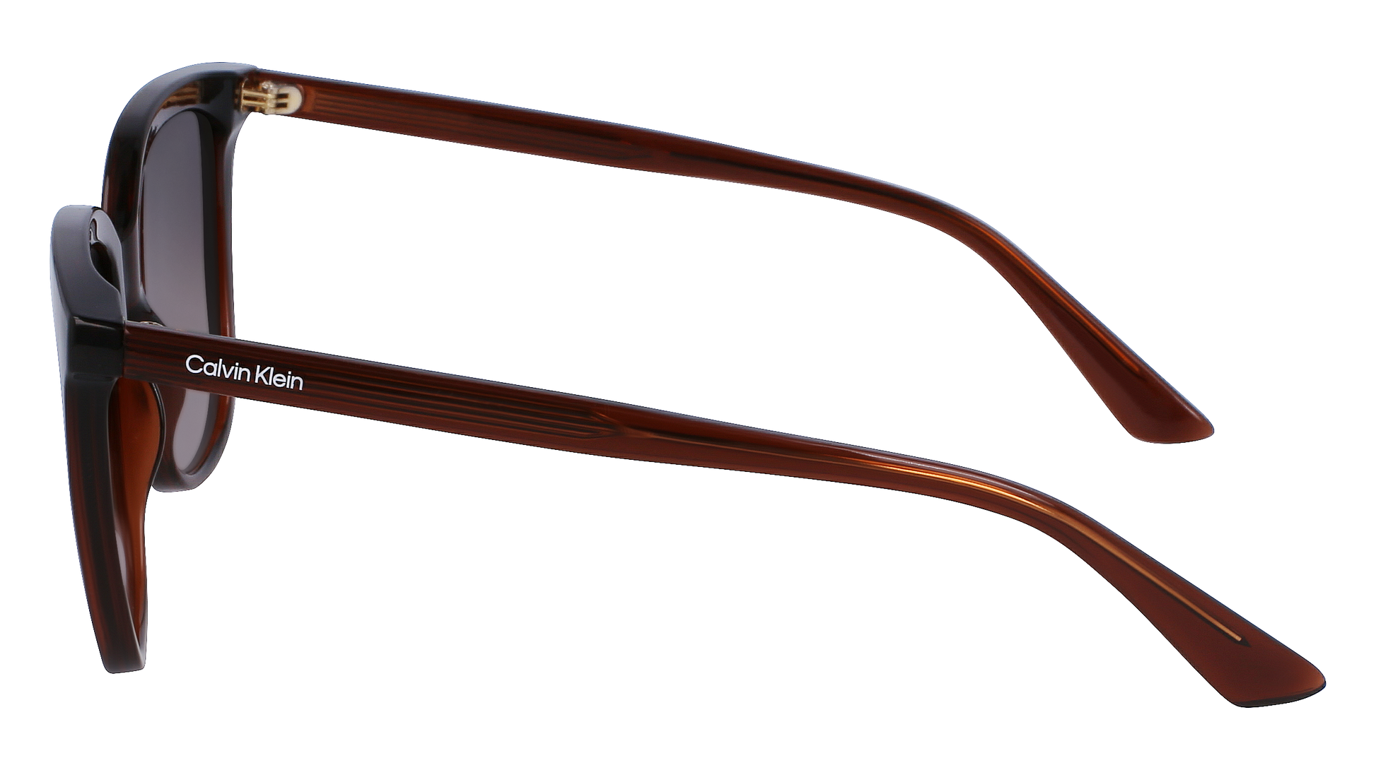 CALVIN KLEIN Sunglasses CK23506S 200 53