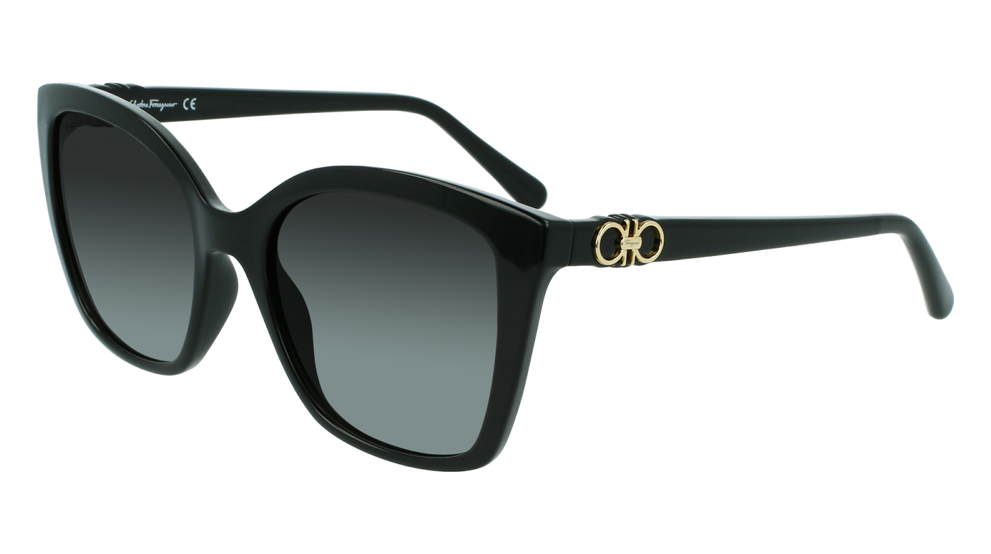 FERRAGAMO Sunglasses SF1026S 1 54