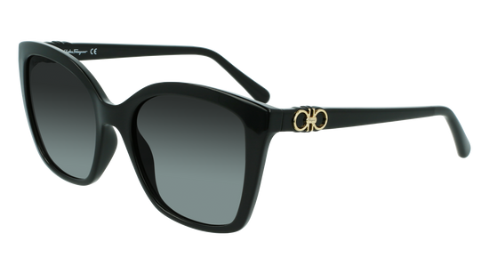 FERRAGAMO Sunglasses SF1026S 1 54