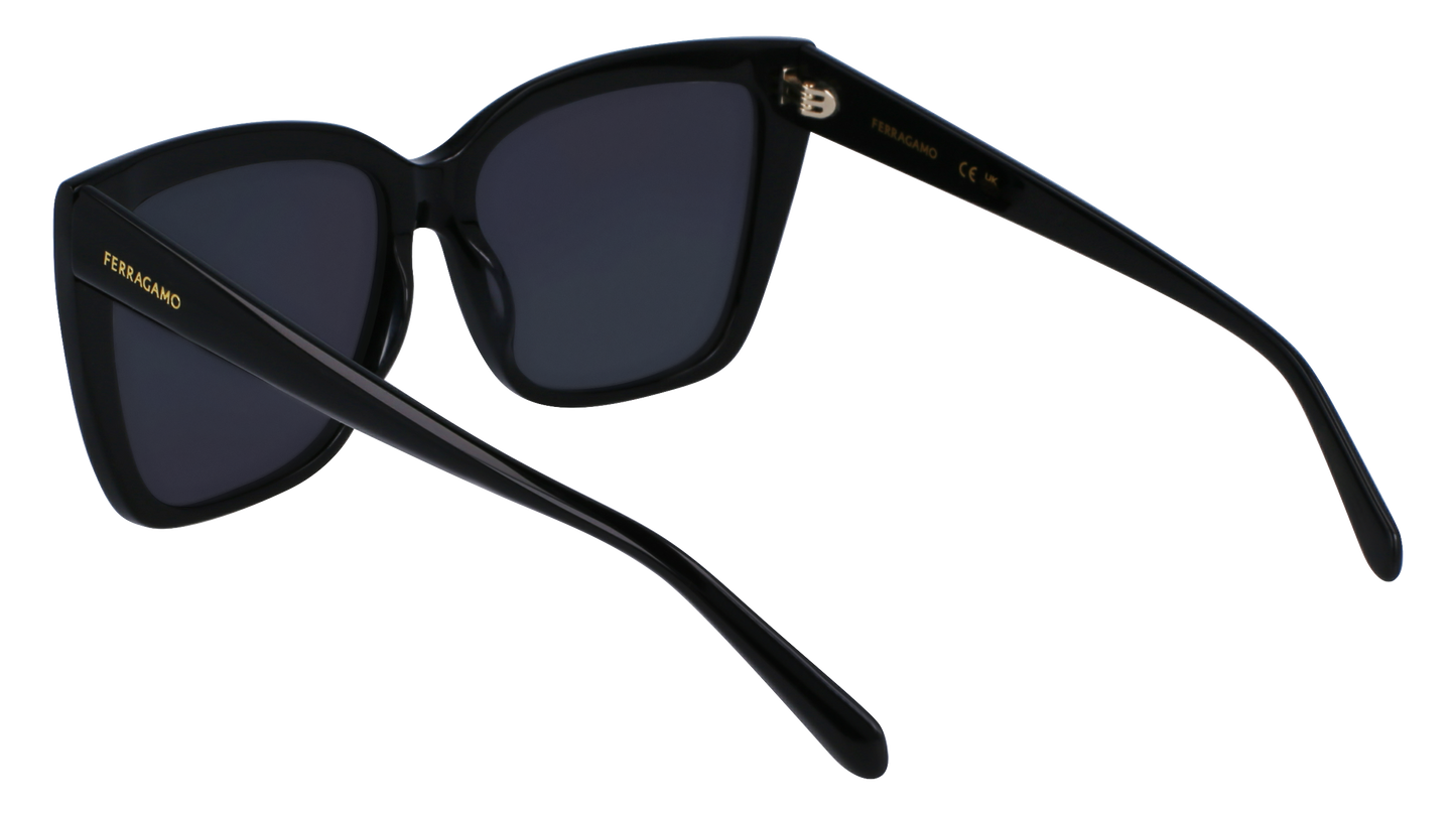 FERRAGAMO Sunglasses SF1102S 1 58