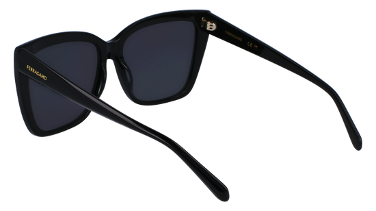 FERRAGAMO Sunglasses SF1102S 1 58